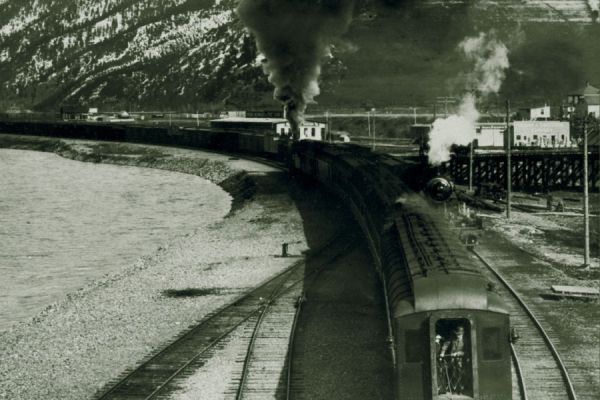 Cover of The Bitter Roots