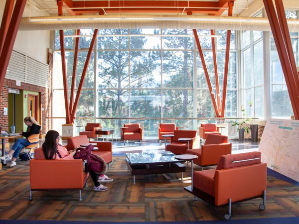 Counseling and Supervision