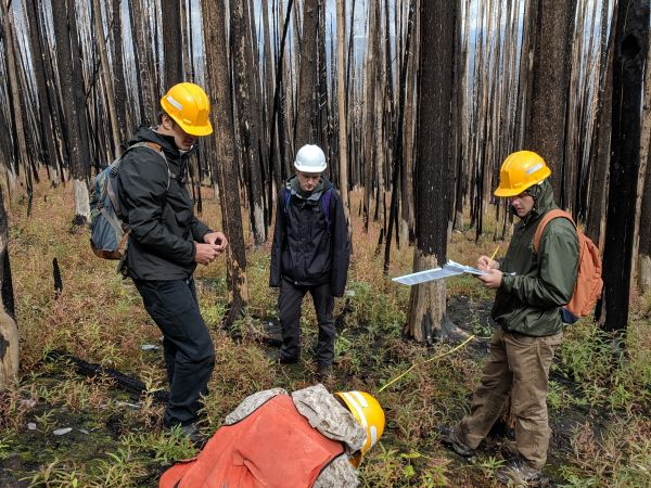 Students in the field examine a burn