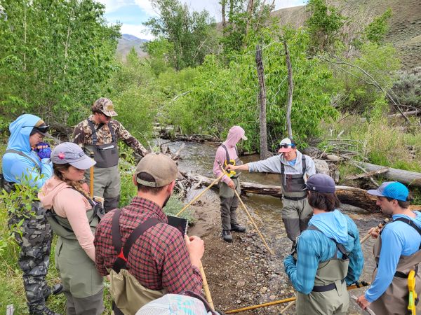 A group of researchers stand to the side of a small, muddy stream.