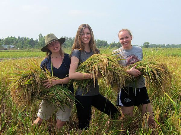 Image of students in a field