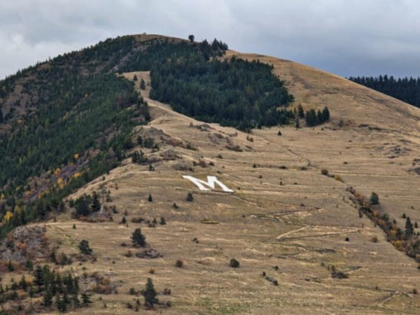 A wide view of a grassy mountainside with scattered trees and winding hiking trails. Partway up the slope is a large white letter “M” made of rocks, a well-known landmark above the city. The hill rises toward a ridge covered with darker evergreen trees under a cloudy sky. The scene shows the popular hiking area overlooking Missoula, �����ؿ�.
