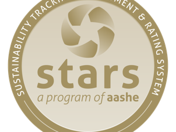 Stars Logo
