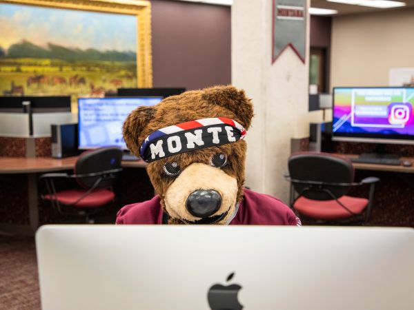 UM Mascot Monte typing on a computer