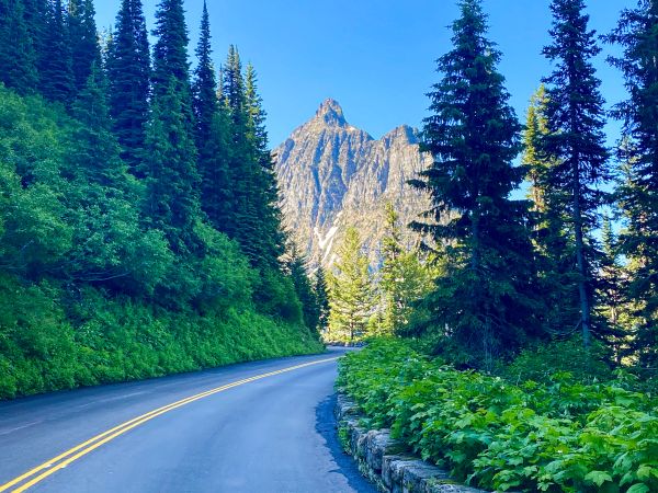 curved road with trees on both sides and a mountain view in the distance