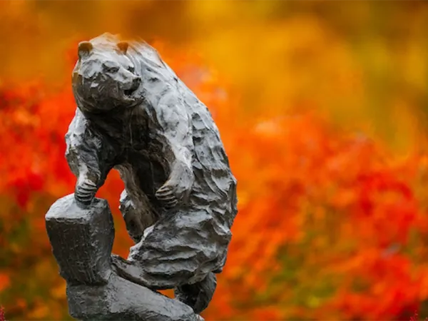 bear statue in fall leaves