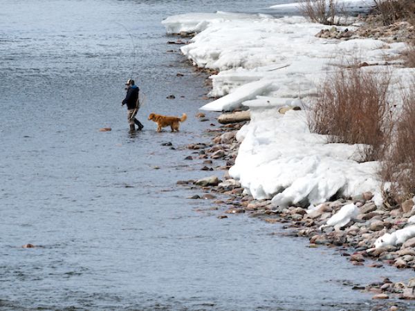a man and dog fishing in the river with snow on the bank