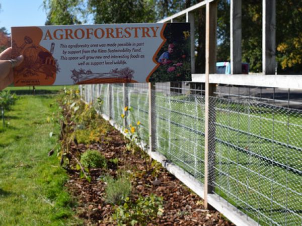 hand holding agroforestry sign up in front of garden beds