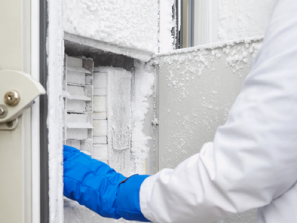 a scientist taking something out of a very frosty freezer with gloves