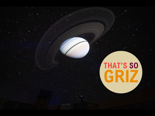 planet surrounded by starry sky