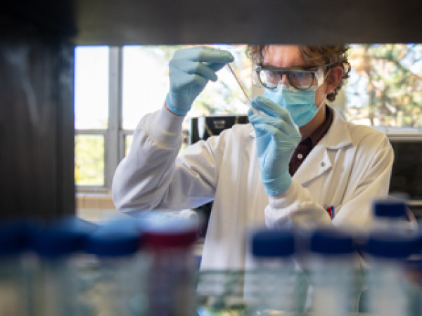 Faculty member works in a lab