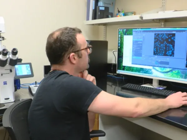 A person sits in front of a microscope, staring at a computer