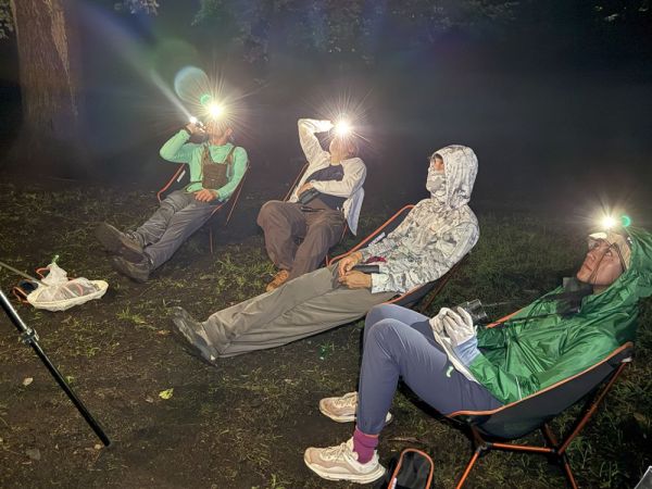 A group of four field researchers sit in lawn chairs in a park at night, using headlamps to stare at something in the canopy off camera.