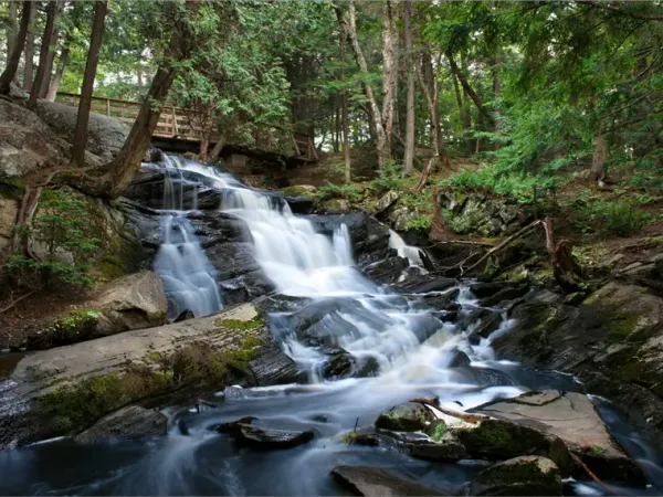Photo of a stream looking upriver. 