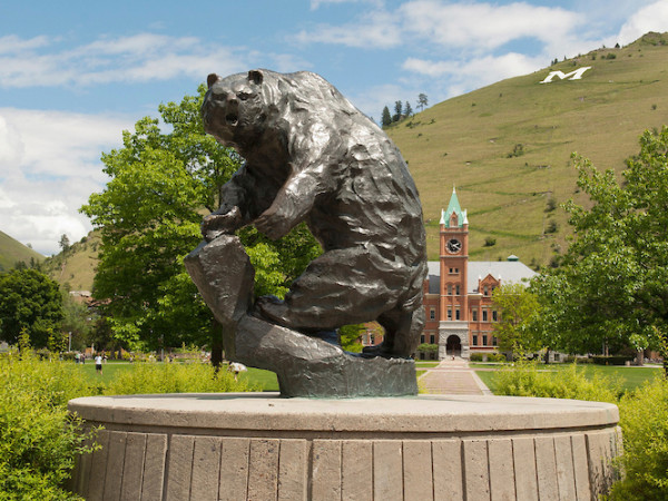 The Grizzly Bear statue at UM in summer