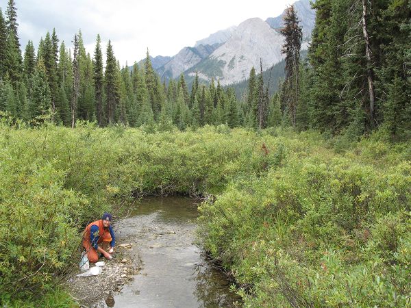 Photo of researcher test river water