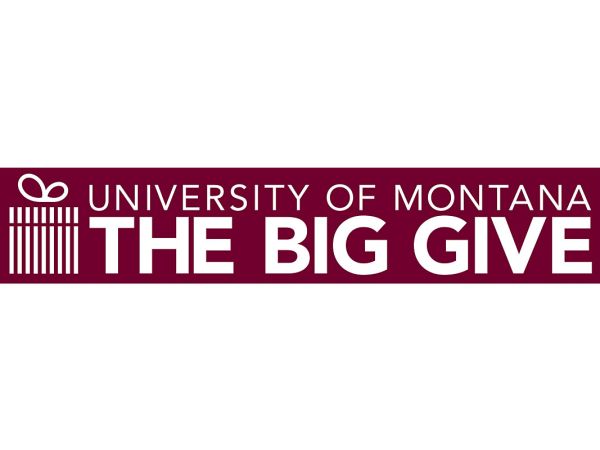 The Big Give logo