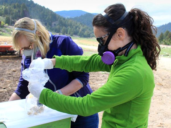 Researchers Angie Luis (right) and Amy Kuenzi prepare to collect data from a deer mouse.