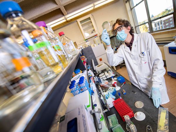 A student looks at a petri dish in a UM lab.