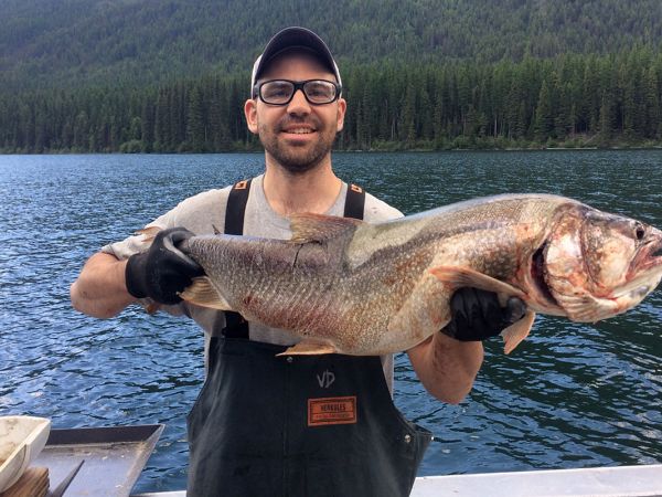 Vin D’Angelo, a USGS fisheries biologist, holds up a nonnative lake trout that was caught recently in Glacier National Park’s Logging Lake.