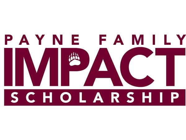 The Payne Family Impact Scholarship word logo