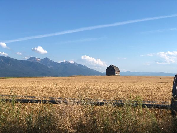 Photo of a barn in the Mission Valley