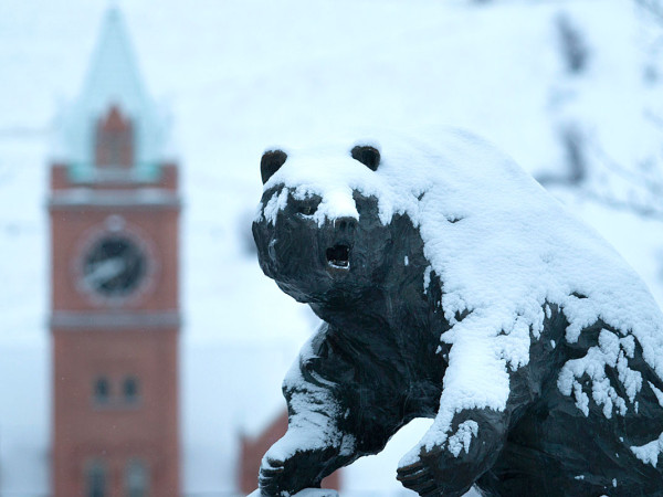 Snow coats the Grizzly Bear statue before Main Hall.