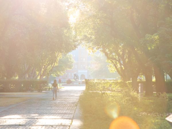 The UM campus in sunlight 