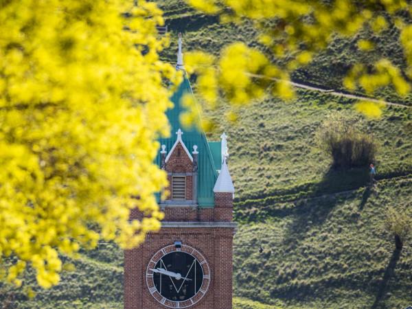 A spring picture of Main Hall with someone walking down the M Trail behind the clocktower.