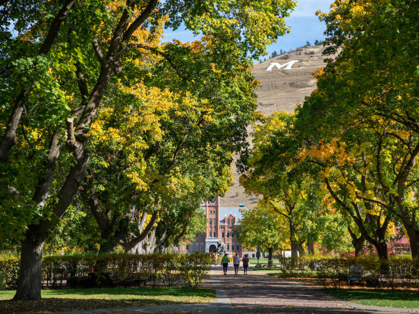Main Hall through autumn trees