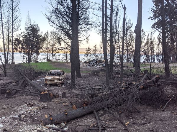 A picture of landscape and a car blackened by a fire.