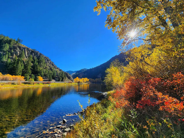 A photo of a river. 