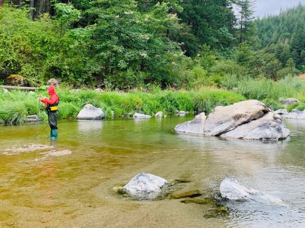 A researcher stands in a river.