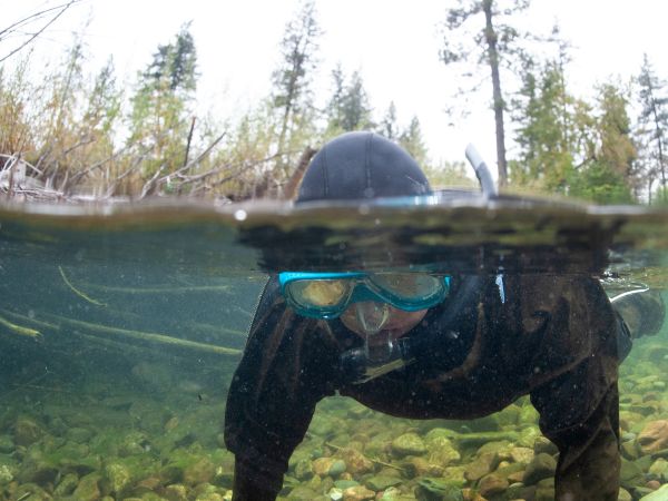 Scuba diver in the rattlesnake river