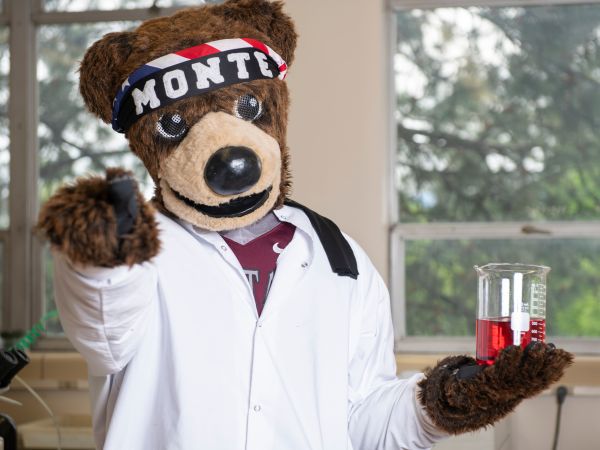 Monte as a researcher