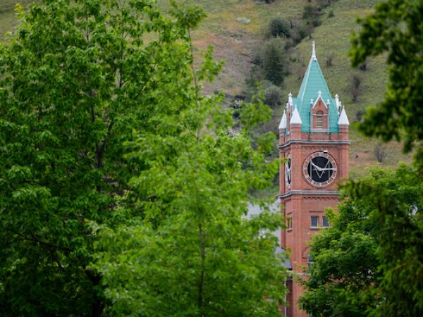 Main Hall's clock tower with green foliage