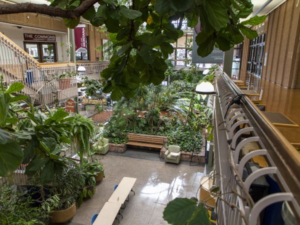Indoor garden