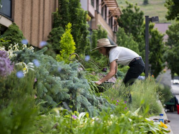 Women gardening outside the UC