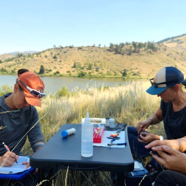 Three researchers band and collect blood samples from a bird while sitting in a riparian area. 