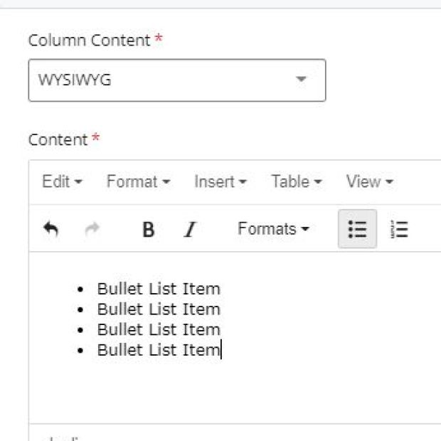 Example of a bullet list created in the WYSIWYG editor