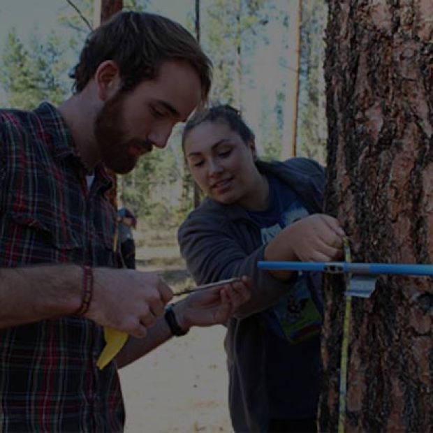 Forestry student navigating in the woods using a map and compass