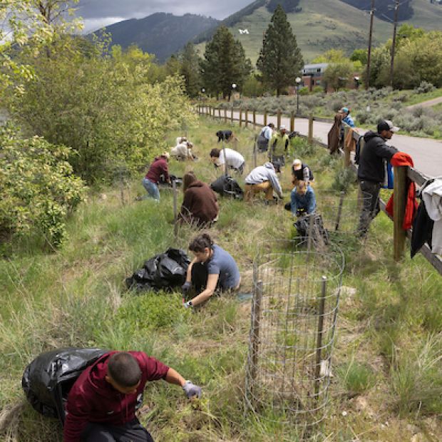 UM staff volunteer along the Kim Williams trail.