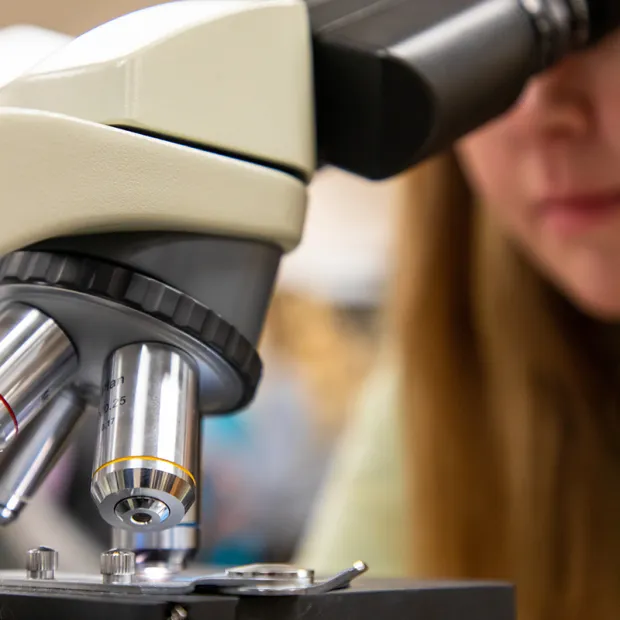 A graduate student looks into a microscope in a lab at UM