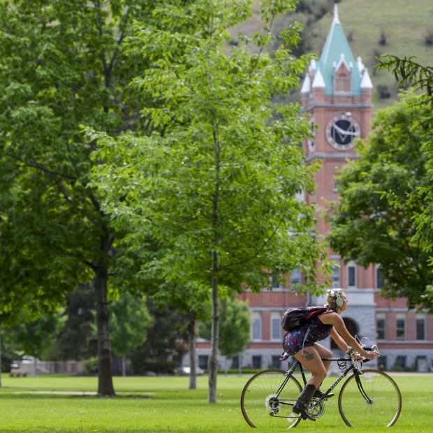 Admissions Process 