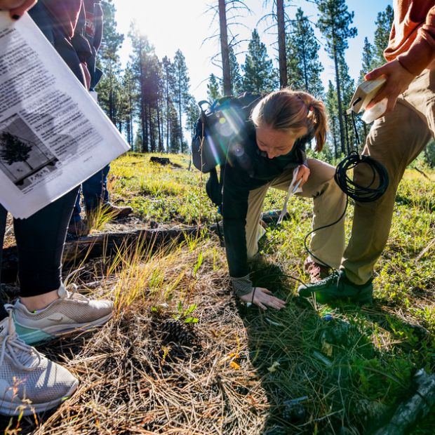 A woman kneels on the ground looking at the dirt