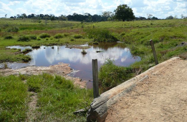 pool of water in a pasture