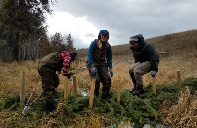 Students work on a restoration project