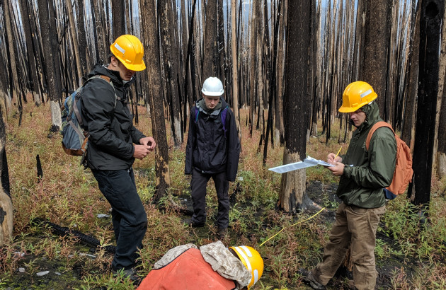 Students in the field examine a burn