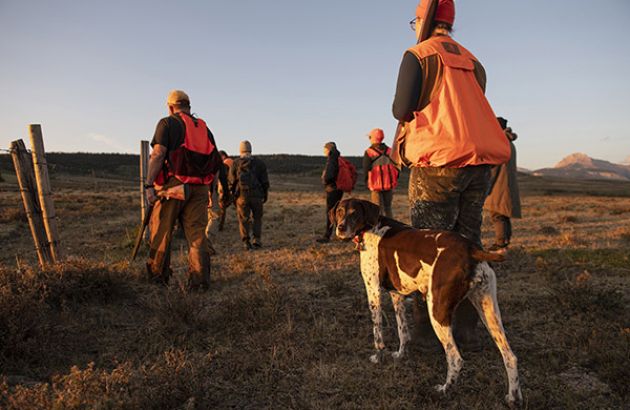 A group of students wearing hunter's orange walks through a field as a dog with them turns to look back at the camera