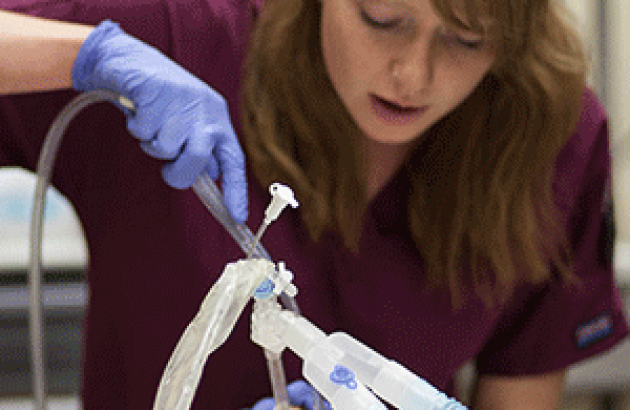 Student practicing respiratory care